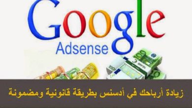 合法かつ安全に海外企業を利用してAdSenseの収益を上げるイメージ |笑