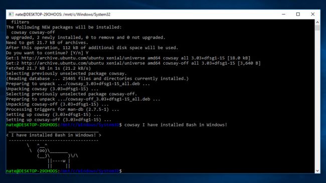 So installieren und verwenden Sie Linux Bash unter Windows 10