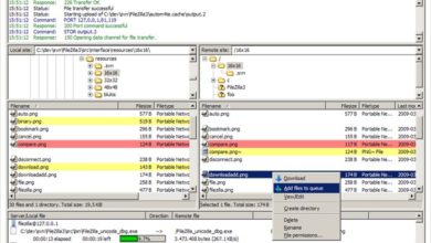 Bild der besten kostenlosen Programme und Tools, die für alle Windows-Anwendungen geeignet sind | 11-filezilla