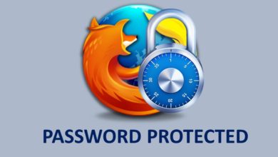 如何在 Firefox 中啟動主密碼來保護所有密碼的圖片 | 125