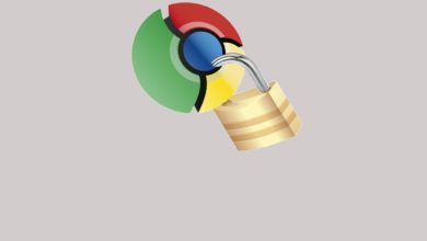 如何在 Google Chrome 中取得已儲存密碼的圖片 | 134