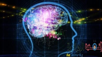 Immagine di Approfitta subito di un corso gratuito di Google nel campo del “deep learning” | 8285