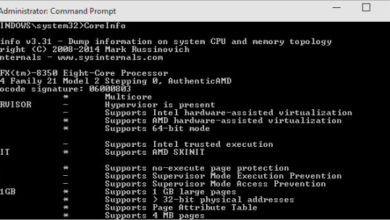 Bilgisayarınızın işlemcisinin özelliklerini ve yeteneklerini öğrenmek için Microsoft'un CoreInfo aracının görüntüsü Çekirdek Bilgisi