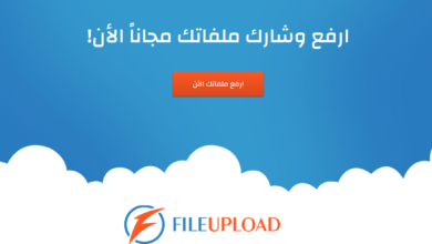Immagine della descrizione del sito web di caricamento file per il caricamento dei file – Aggiornamento: inaffidabile | Sans2Btitolo6