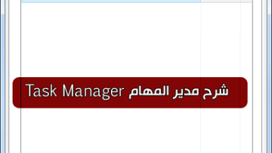 Un'immagine di una spiegazione dettagliata dello strumento Task Manager in Windows TM