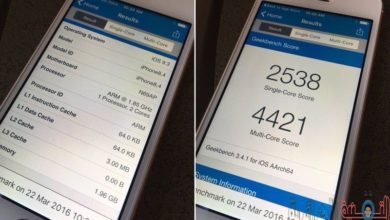 Un'immagine della dimensione della RAM per iPad Pro e iPhone SE da 9.7 pollici | iphonesegeekbench-800x532