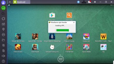 Ein Bild des wunderbaren BlueStacks-Programms zum Ausführen von Android-Anwendungen auf dem Computer | mArF87g7QKovzt2gRbpzdk-970-80-min