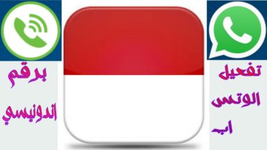 Un'immagine dell'applicazione Smartcall per ottenere un numero estero per attivare i vari social network maxresdefault28229