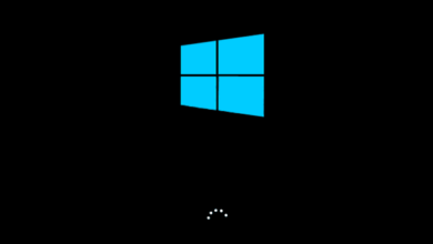 Image de Comment transférer des fichiers depuis le disque Windows si la copie installée de Windows est endommagée | récupérer-les-fichiers-lorsque-windows-ne-démarre pas