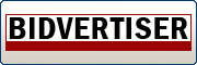 如何從 Bidvertiser 每月賺取 100 美元 + 首付款證明圖片 | ref_180x60_green_pbl