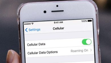 Obraz przedstawiający, jak naprawić problem z niedziałającą transmisją danych komórkowych na iPhonie i iPadzie na różne sposoby | fix-cellular-data-ios