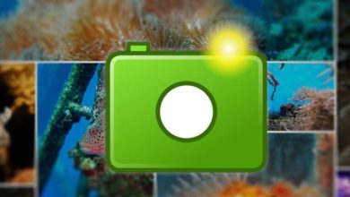Immagine per Cos'è il formato immagine WebP e come puoi salvare le tue immagini in questo formato? | webp