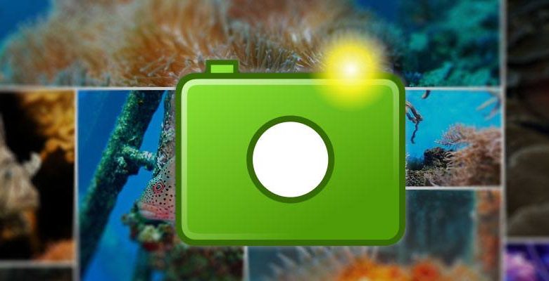 Immagine per Cos'è il formato immagine WebP e come puoi salvare le tue immagini in questo formato? | webp