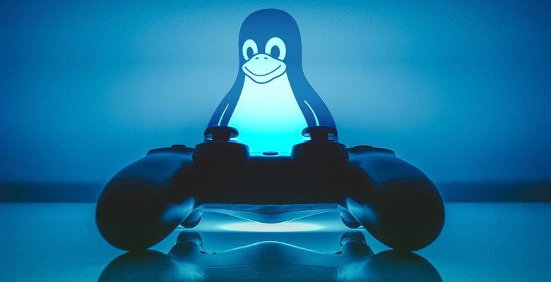 Bild der besten Linux-Distributionen für Spiele, mit denen Sie spielen und Spaß haben können | Linux-Distributionen-Gaming