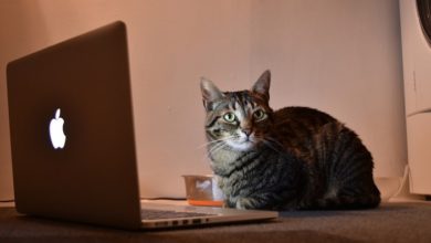 如何透過付費線上調查賺錢：2024 年最值得信賴的網站 | Survey-Sites-min-1
