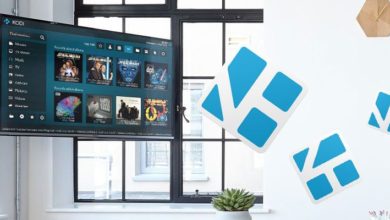 滿足您所有串流媒體需求的 7 款最佳 Kodi 插件圖片 | kodi-addons-1