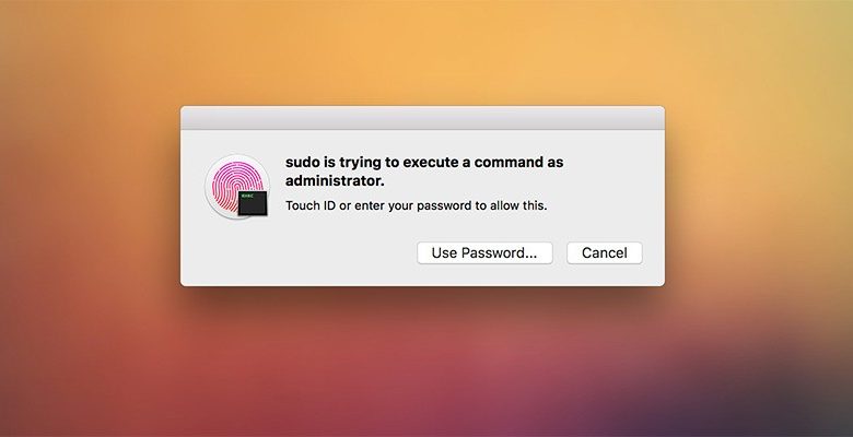 Immagine di Come utilizzare Touch ID per autenticarsi con i comandi sudo su un MacBook | terminale-sudo-touch-id-hero