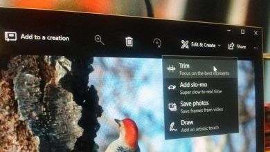 Immagine di Come ritagliare un video in Windows 10 senza utilizzare applicazioni di terze parti | trim-video-win10-in primo piano-1