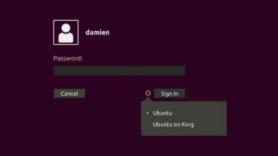 Immagine di come passare a Xorg da Wayland in Ubuntu 17.10 [Suggerimento rapido] | ubuntu-select-display-server-in primo piano