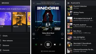 使用 Spotify Web Player 的 5 個主要理由?圖片 | 使用 Spotify Web Player 進行音樂串流播放的 5 個理由4