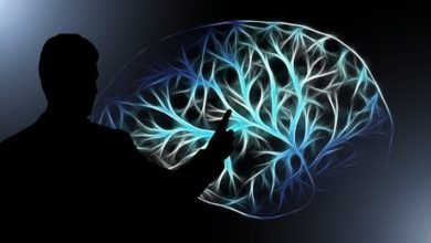 大腦訓練應用程式真的像廣告宣傳的那樣有效嗎? | brain-training-feature