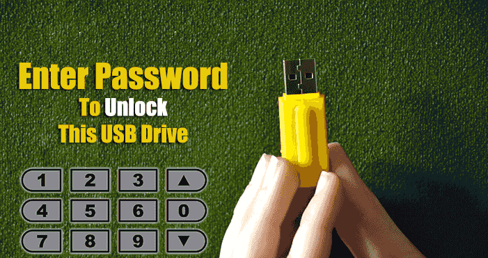 Immagine di Come proteggere la Pen-Drive e il Flash Disk con una password (un gruppo di metodi) | USB protetto da password