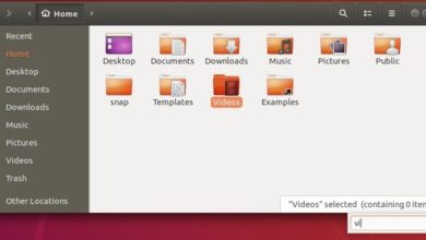 Imagen de Cómo devolver la función de búsqueda de escritura anticipada de Nautilus en Ubuntu 18.04 | ubuntu-type-ahead-presentado