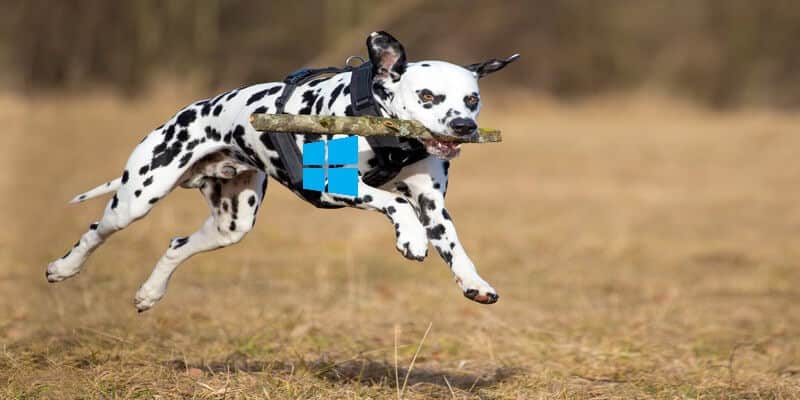 Immagine di Cos'è SuperFetch in Windows 10 e come puoi disabilitarlo | Super-in evidenza