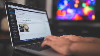 Εικόνα του Πώς να προσθέσετε ένα εφέ σκιάς πλαισίου μέσω CSS στο WordPress | wordpress-923188_640