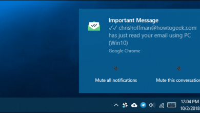Immagine per Come possono le persone sapere che hai aperto le email (e come fermarle) | ximg_5bb3c1b4a4b7a.png.pagespeed.gpjpjwpjwsjsrjrprwricpmd.ic_.GOUbY_dtS6