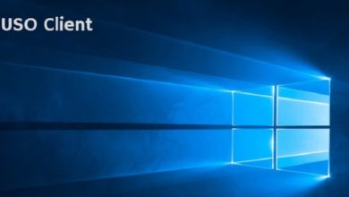 了解並停用 Windows 10 中的 USOclient.exe 圖片 | Windows10-USO-Process-2