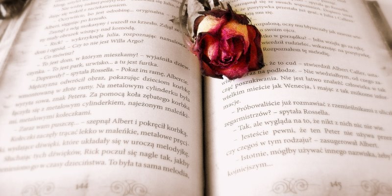 Immagine di Cosa sono le “storie” sui social media? | Storie-sociali-in-primo-piano