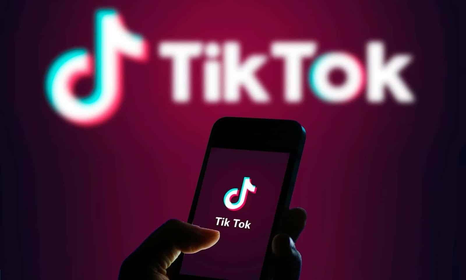Un'immagine delle migliori applicazioni e dei siti essenziali per i fan di TikTok e tutte le persone creative | 13774246-0-image-a-25_1566940463678-min-DzTechs