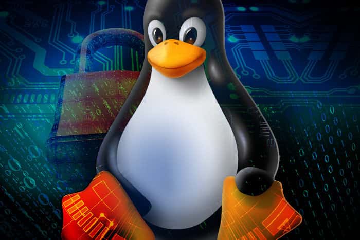 您應該加密 Linux 分割區的原因和不應該加密的原因的圖片! | 資料安全-特色-web-min-DzTechs