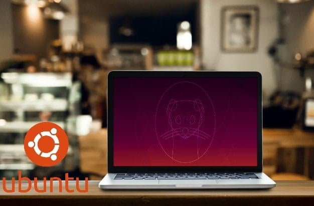如何在 Ubuntu 19.10 上共享螢幕和媒體的圖片 | 帶有咖啡店背景的筆記型電腦桌_28668-62-min-DzTechs