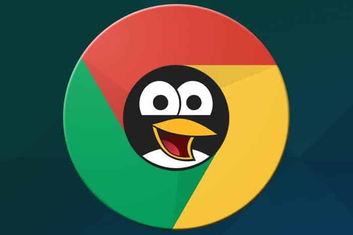 Obraz najlepszych aplikacji Linux do zainstalowania na Chromebookach (2023) | linux_apps_chromebook_100783104_large-WDoiGKfs-DzTechs