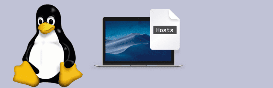 Linux'ta Hosts dosyası nasıl düzenlenir ve yönetilir resmi | hosts_file_sse_124_1920x646-ZarniIfs-DzTechs