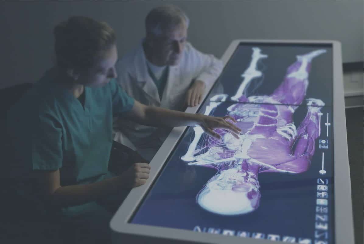 Ein Bild der besten virtuellen Touren im Inneren des menschlichen Körpers für interaktive Anatomie | DSC_2979_Anatomage_Table_jpg_blurred-BPsgiUfs-DzTechs