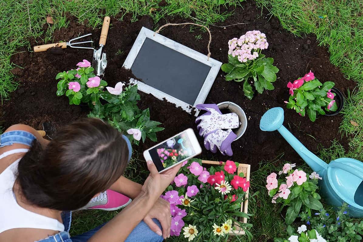 Image des meilleures applications de jardinage et d'agriculture pour Android et iOS | Gardening_Apps_For_Android_And_iOS-c97ivXfs-DzTechs