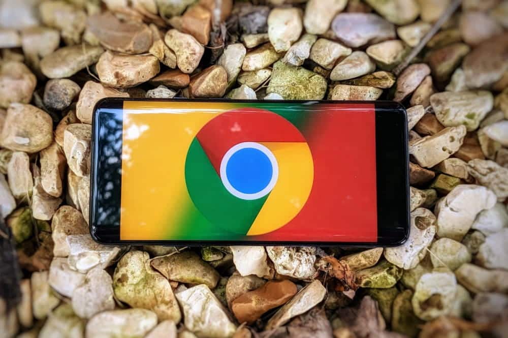 如何在 Chrome 上停用「顯示簡化檢視」彈出視窗的圖片 | 00_chrome_android_tips_100821461_large.3x2-yC2avags-DzTechs