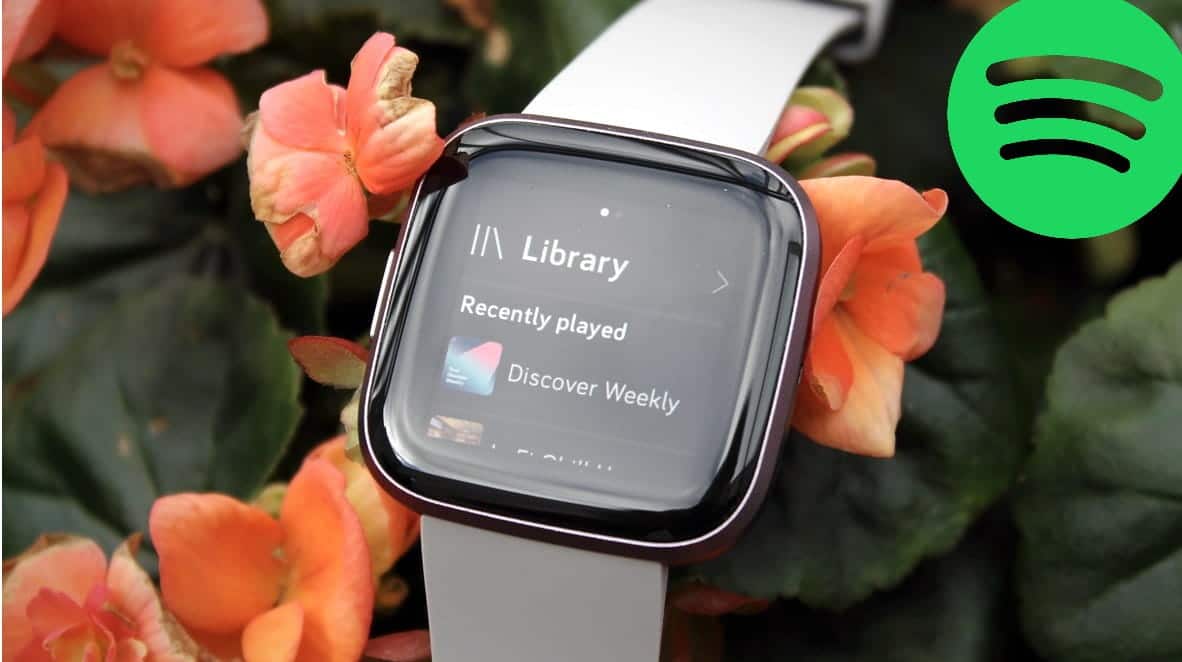 如何在 Fitbit 手錶上收聽 Spotify 圖片 | 34239_original-8Hb6rMfs-DzTechs