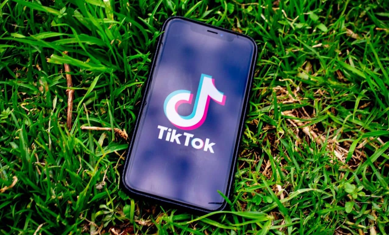 Immagine delle migliori alternative a TikTok che dovresti controllare se prendi sul serio la tua privacy | TikTok_Pixabay_1593524281-kEB8XZfs-DzTechs