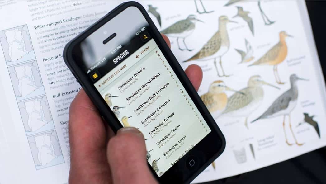 Obraz najlepszych aplikacji do obserwacji ptaków, które pomogą Ci rozwinąć umiejętności (Android i iOS) | tnc_82928009_Full-T29Lrbgs-DzTechs