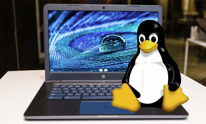 如何在 Chromebook 上擴充 Linux 儲存空間的圖片 | 05iSzelTqDIgcymo4I3b2Oe_1.fit_lim.size_1200x630.v_1569492949-V9YtWbgs-DzTechs