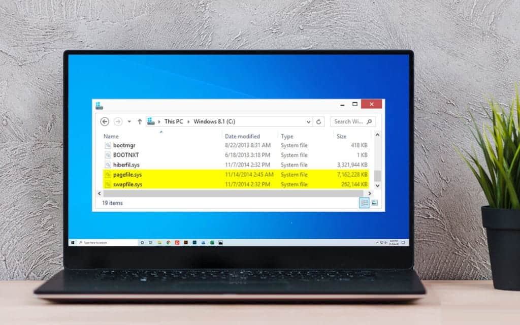 Hiberfil.sys 檔案是什麼以及如何在 Windows 10 中刪除它的圖片 | how_to_delete_pagefile.sys_in_windows_10-D8zTKggs-DzTechs