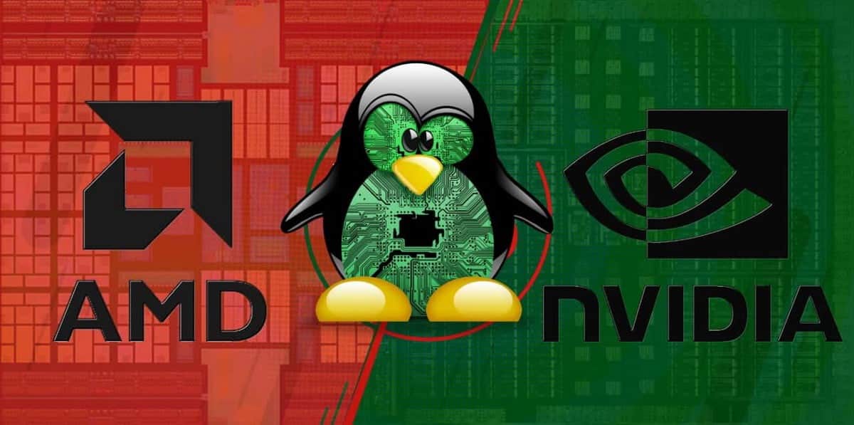 Immagine delle schede grafiche AMD e NVIDIA su Linux: quale dovresti usare? | 1B9hR2WZyfGly3hLII7FPiQ-DzTechs