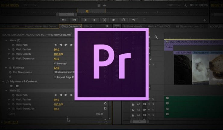 Adobe Premiere Pro 中組織專案的最佳方法圖片 | 1nD_4UQKXo-9nanqbKwaWUQ-DzTechs