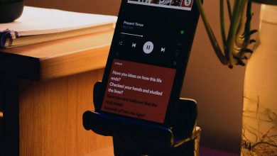 Immagine dei migliori siti web per trovare significati e spiegazioni delle canzoni con testi | karthikeya-gs-WgW9o-Jy_Ng-unsplash-1