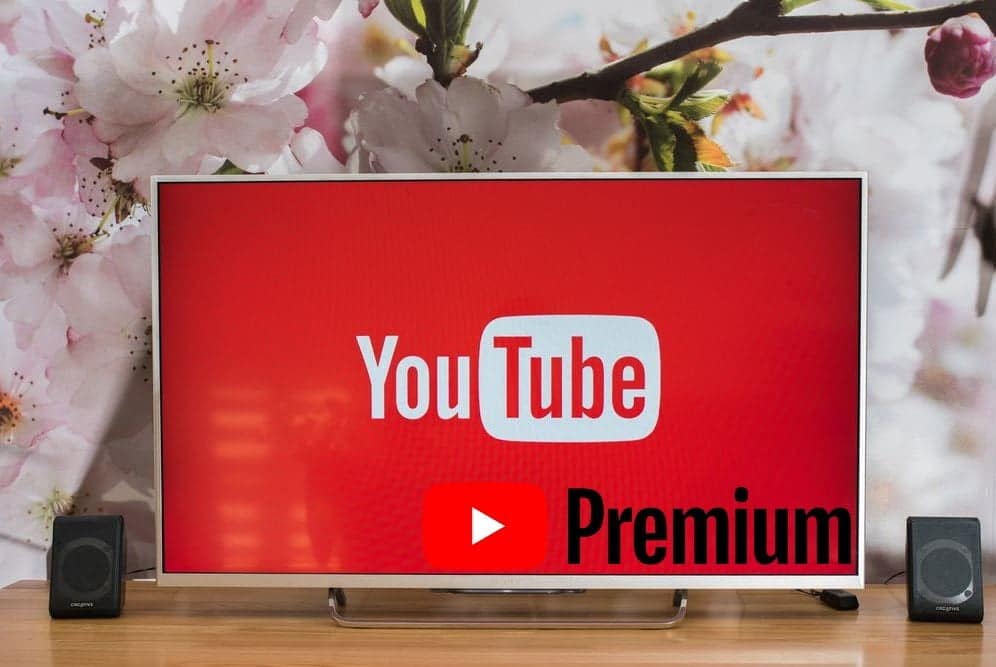 Image YouTube Premium maliyete değer mi? Bakılması gerekenler | 1zb5QgZe-WWsXFRQADL3eLg-DzTechs