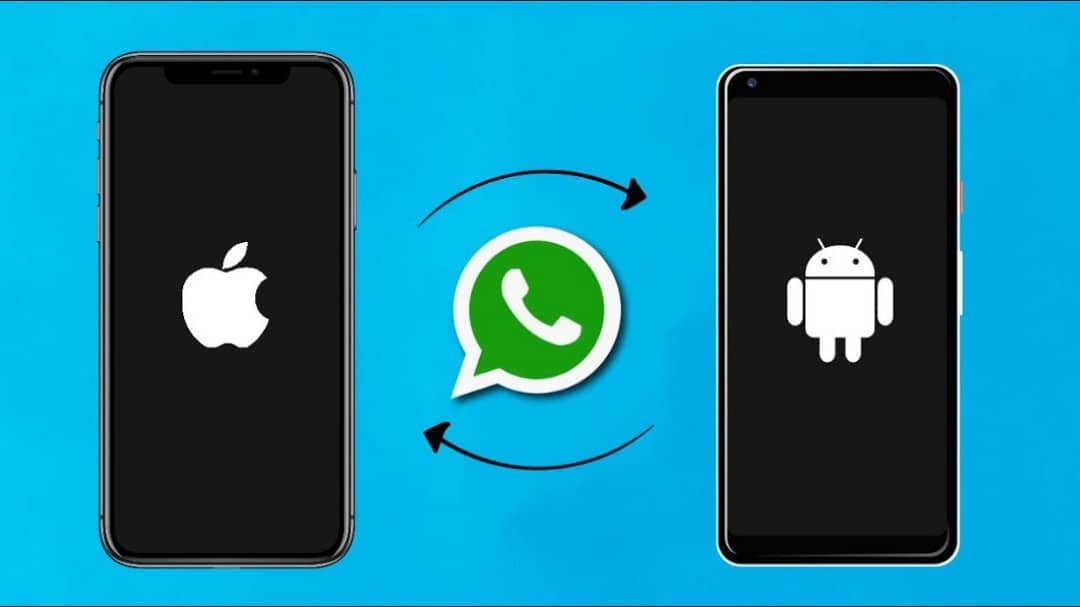 Obraz pokazujący, jak przenieść WhatsApp z iPhone'a na Androida | 1PUVfQSdHxQKM57C3u8D_Wg-DzTechs